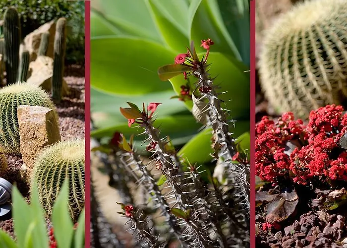 Eden Park Hotel Diano Marina