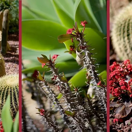 Eden Park Hotel Diano Marina